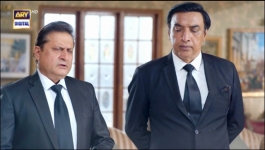 Pinjra - Episode 14 - 29th Dec 2022